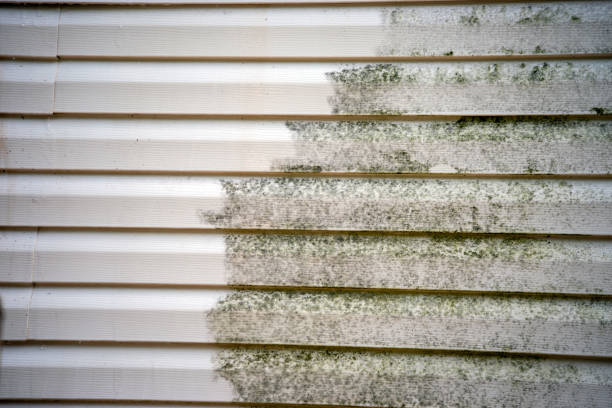 Best Construction Debris Removal  in Waterloo, IN