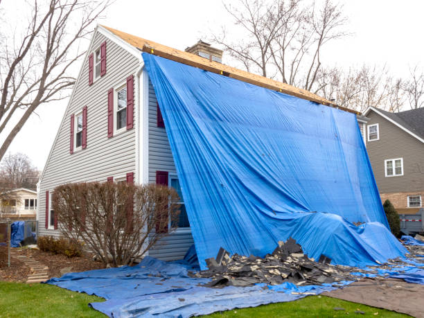 Best Hoarding Cleanup  in Waterloo, IN